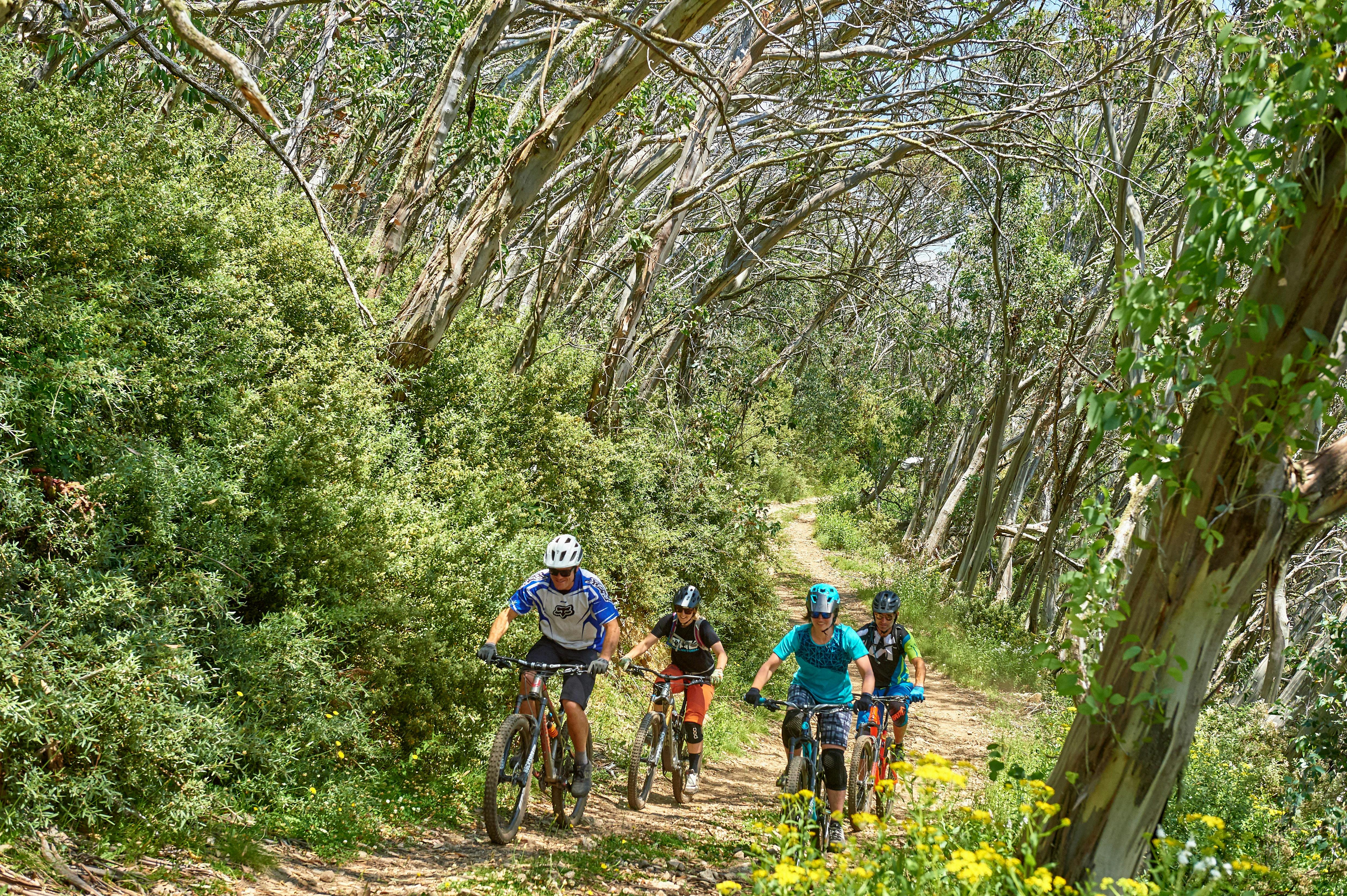 A group of riders pedal along Corn Hill trail