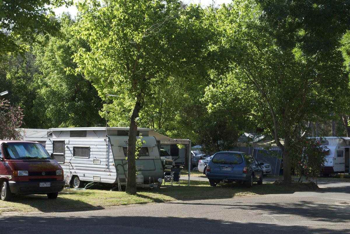Shady camping sites