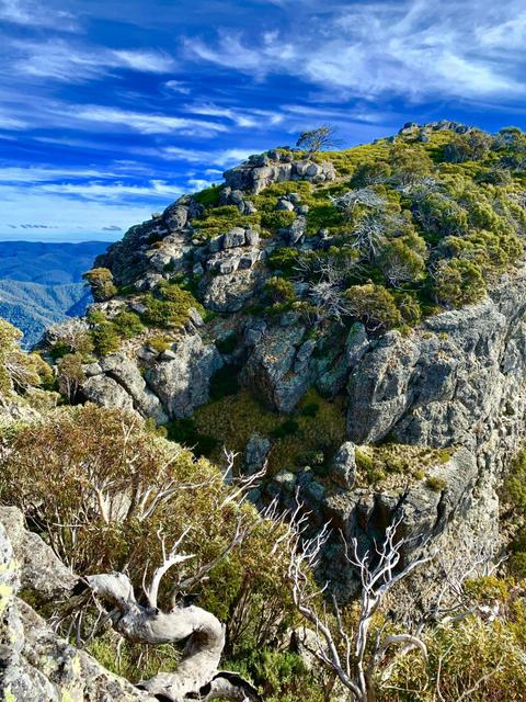 Mt Cobbler Walking Track