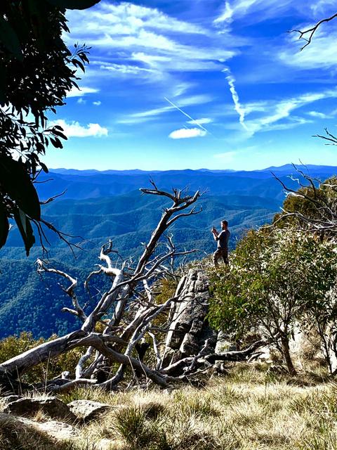 Mt Cobbler Walking Track