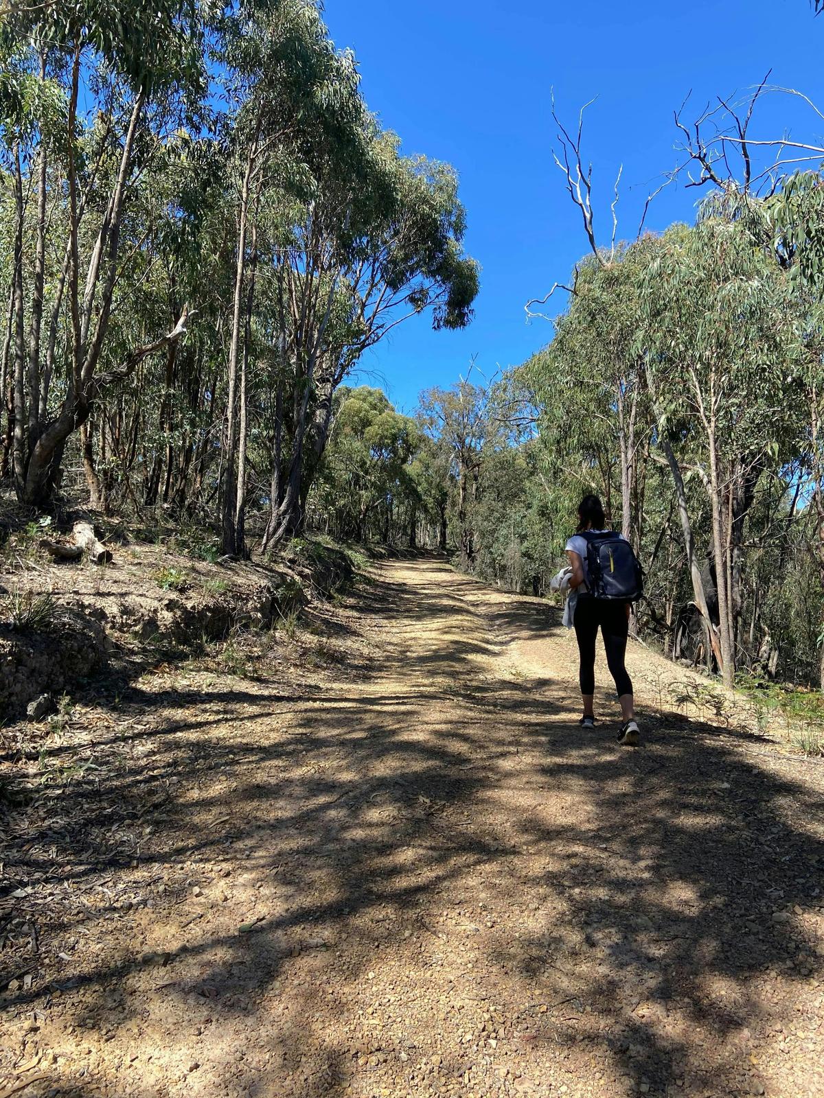 Mt Everard Circuit