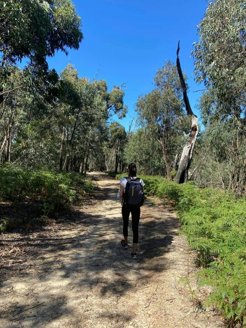 Mt Everard Circuit