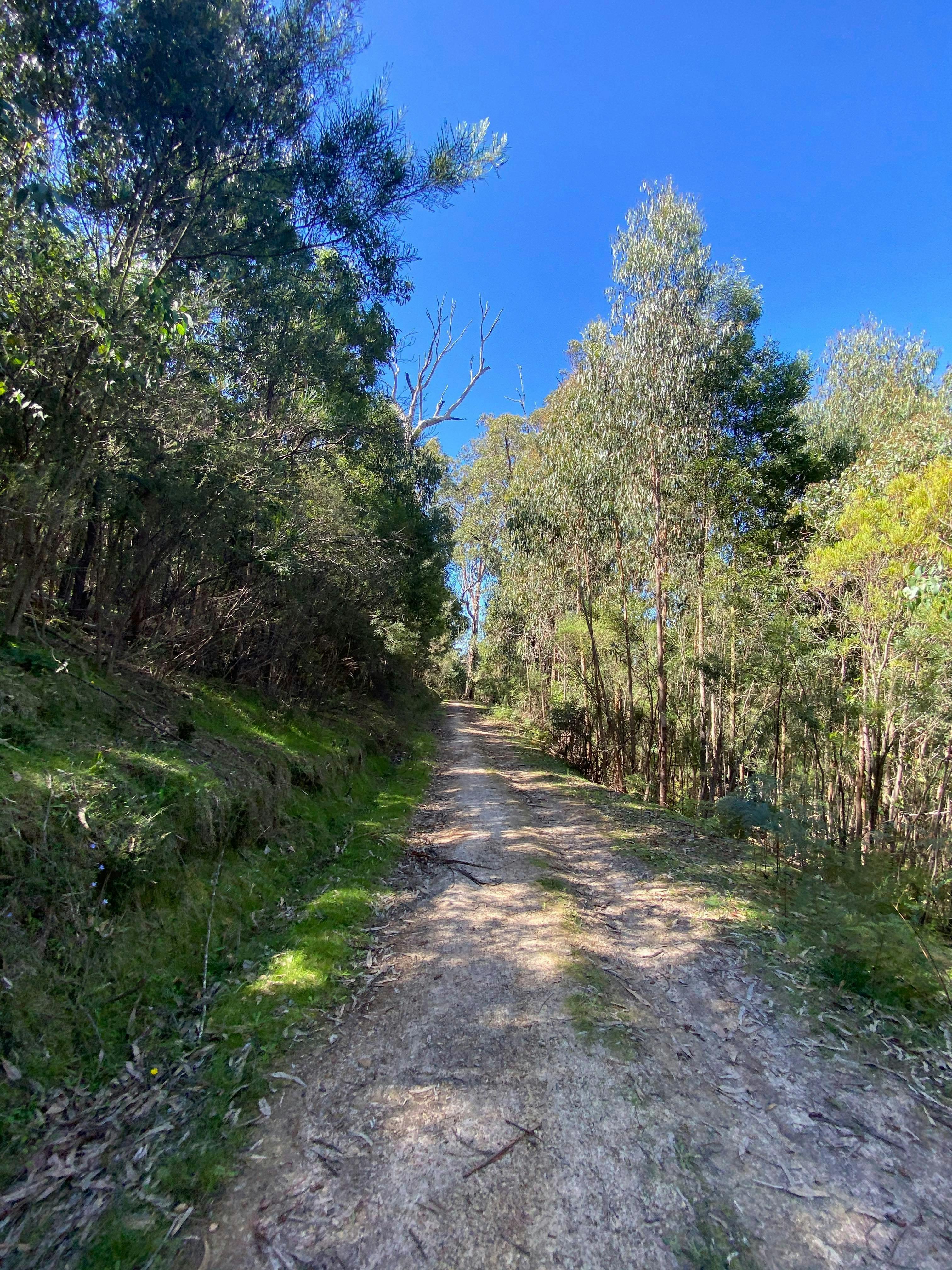 Mt Everard Circuit