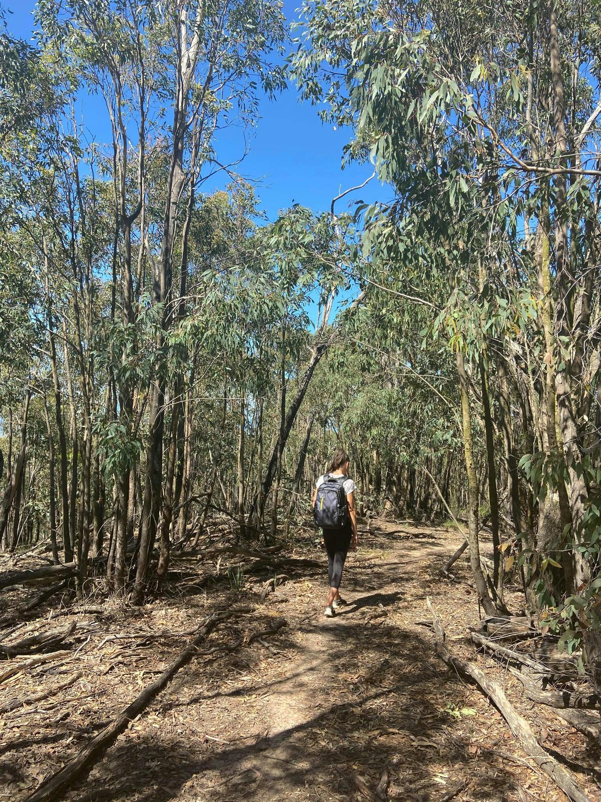Mt Everard Circuit