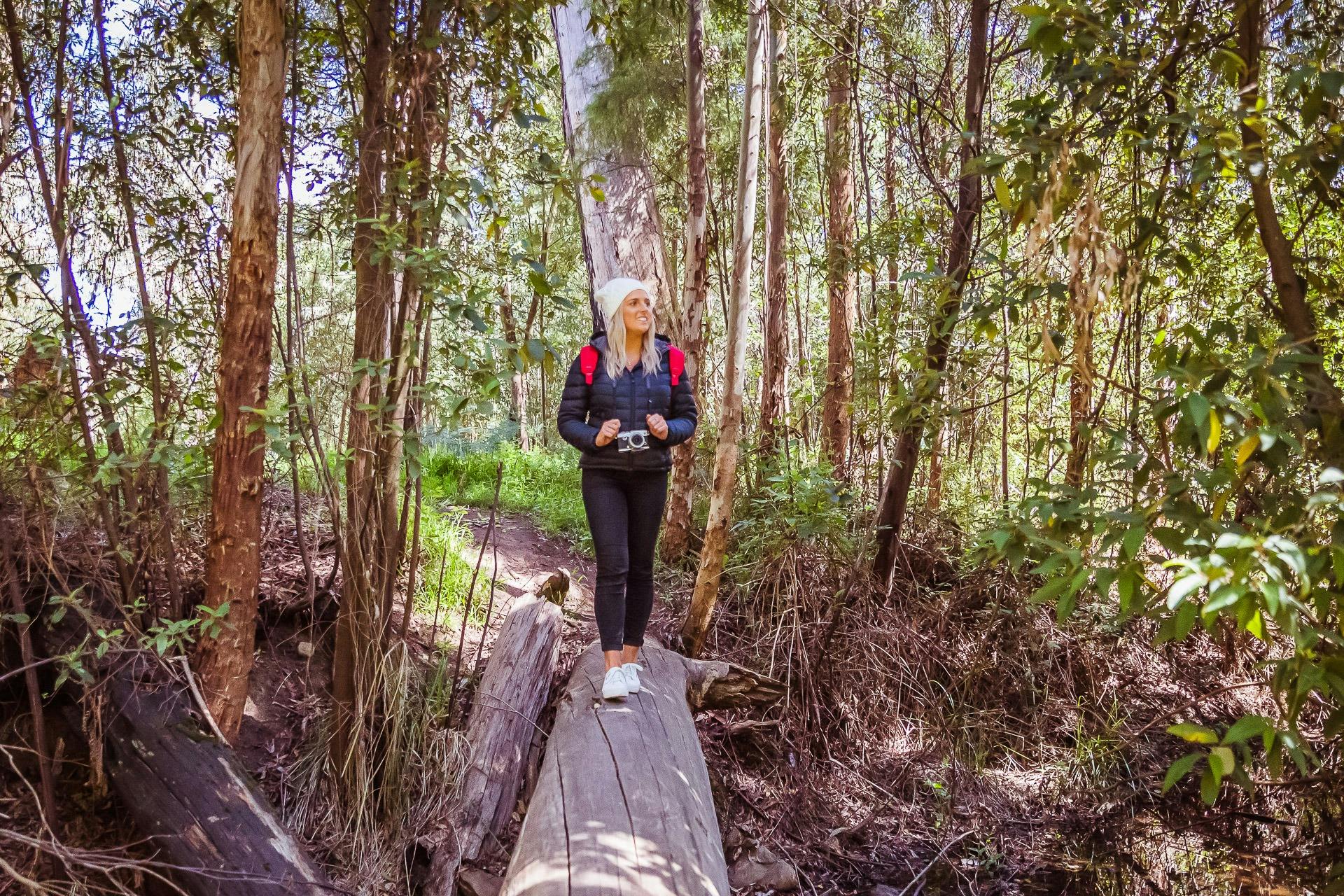 Girl at Mount Disappointment Forest
