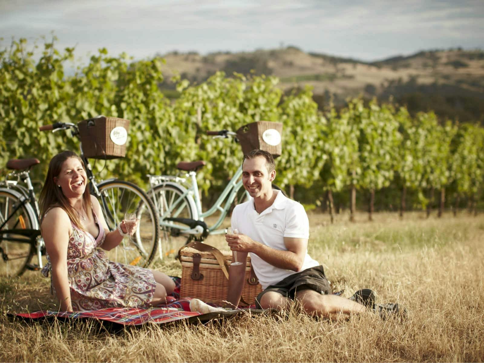 Friends an family enjoying a picnic at Myrrhee.