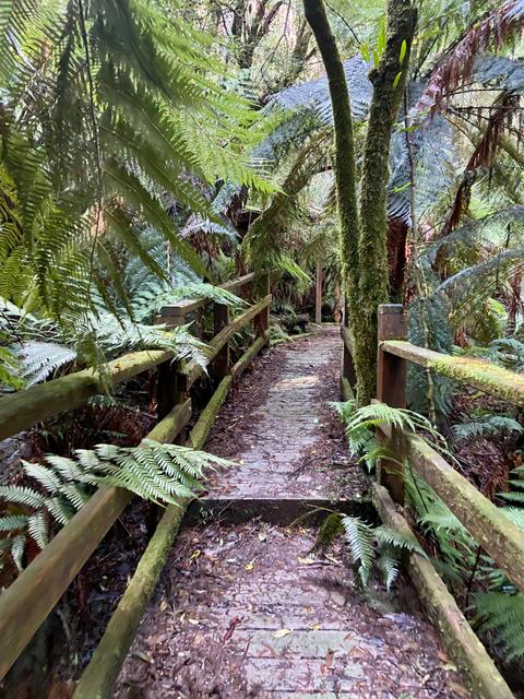 Myrtle Gully Circuit