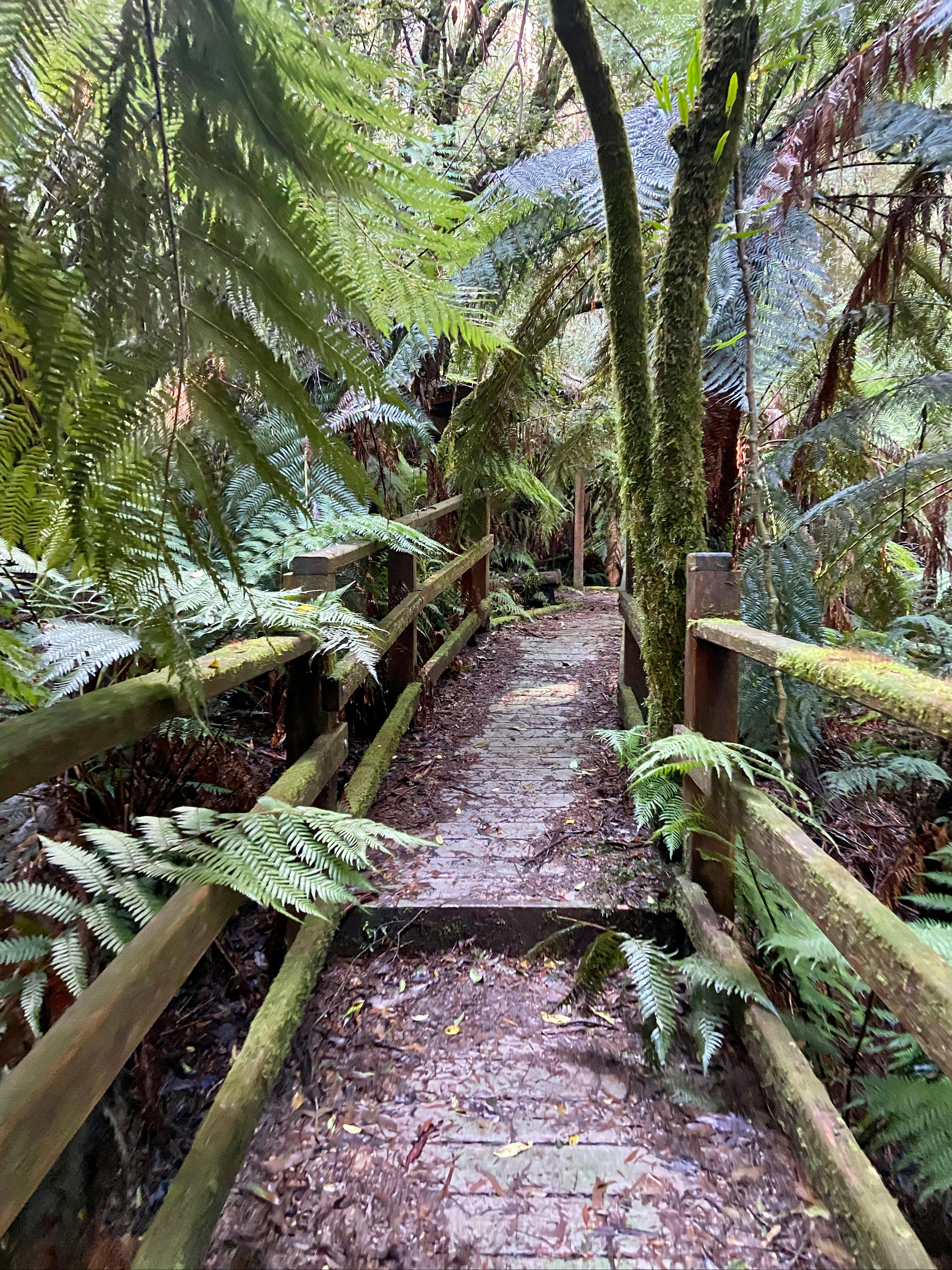 Myrtle Gully Circuit