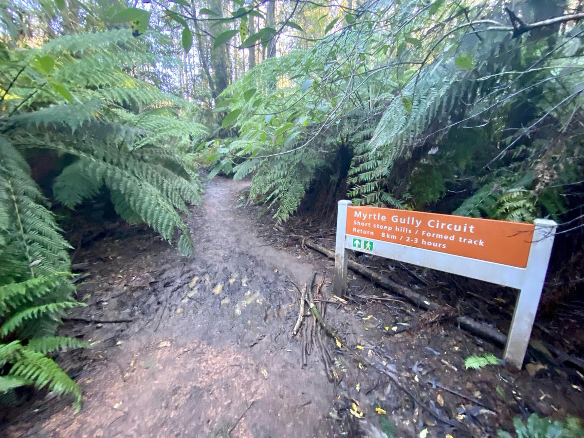 Myrtle Gully Circuit