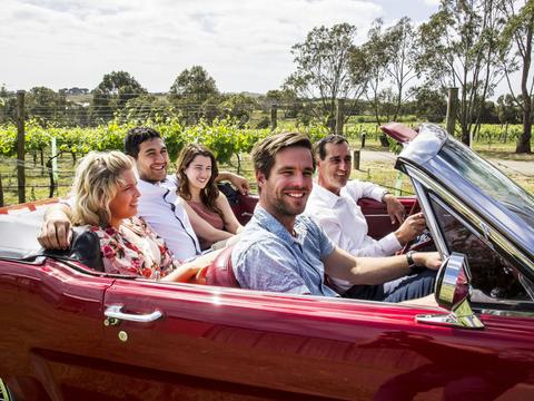 Winery Tour