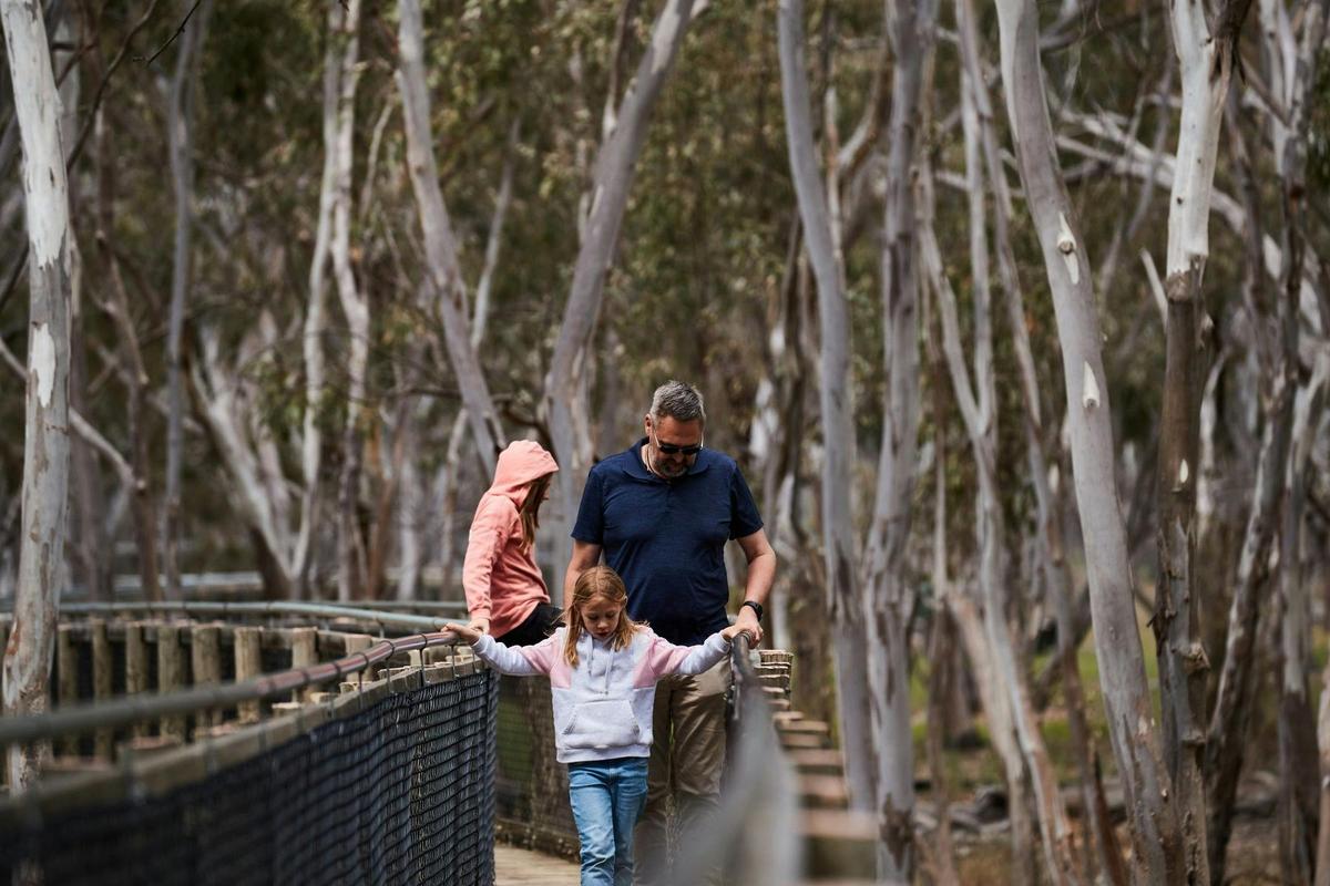 Nhill Swamp Boardwalk