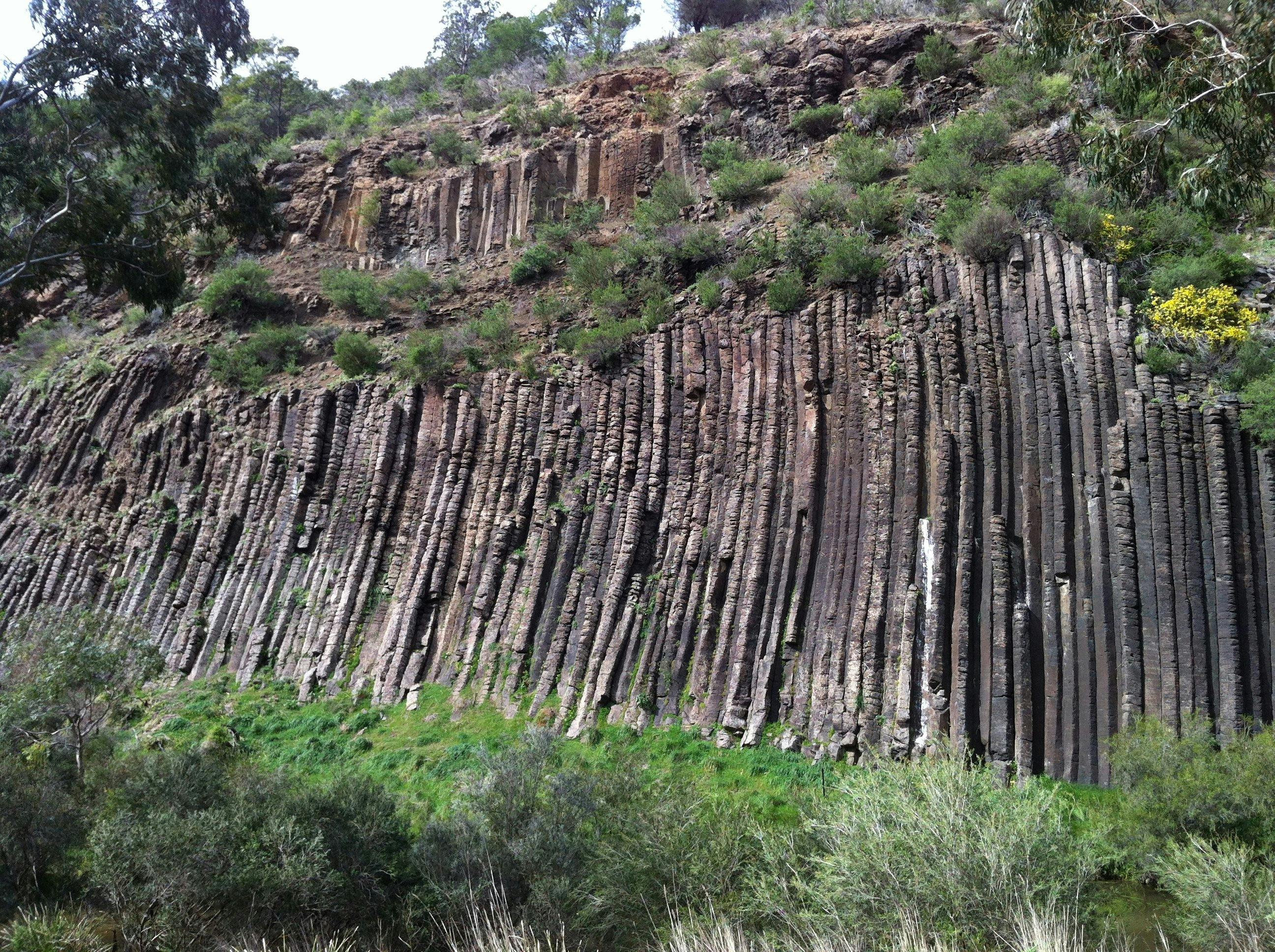 Organ Pipes National Park
