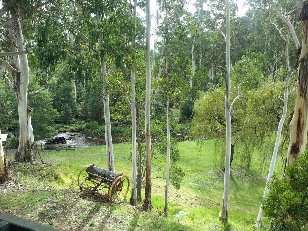 Noojee Hotel Grounds
