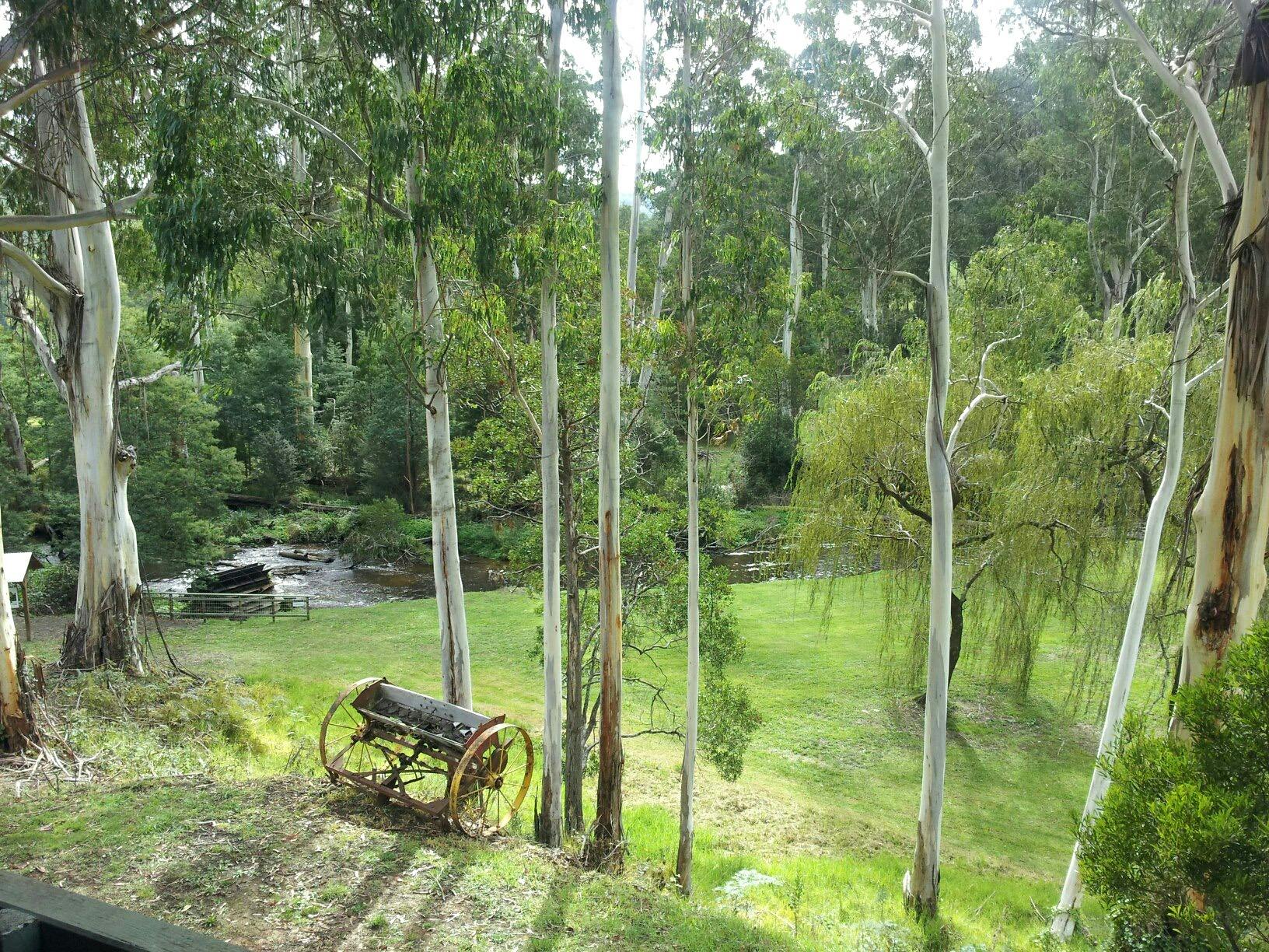 Noojee Hotel Grounds