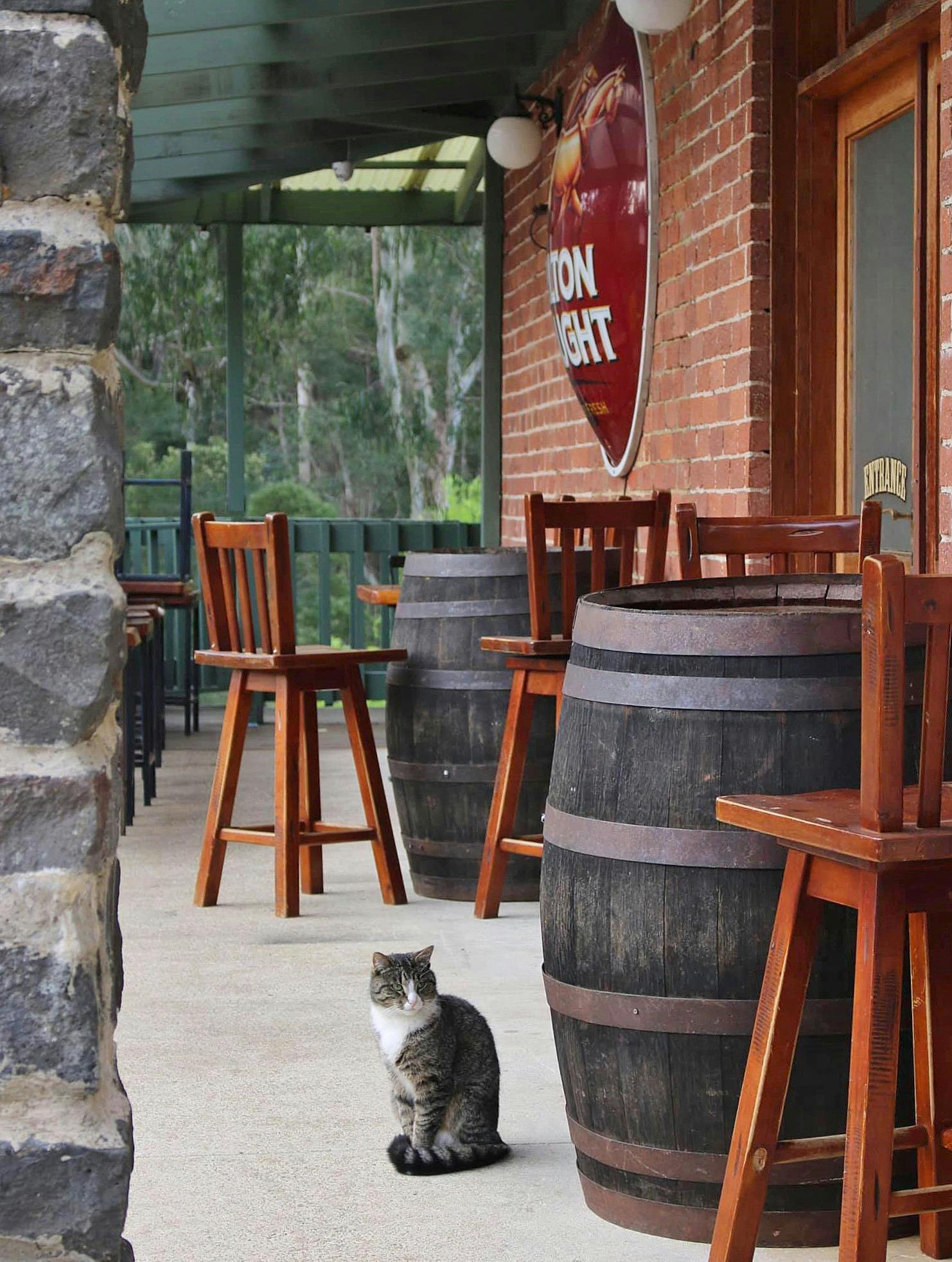 Noojee Hotel Side Verandah
