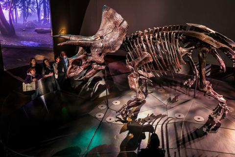 Home of Dinosaurs Tour Melbourne Museum