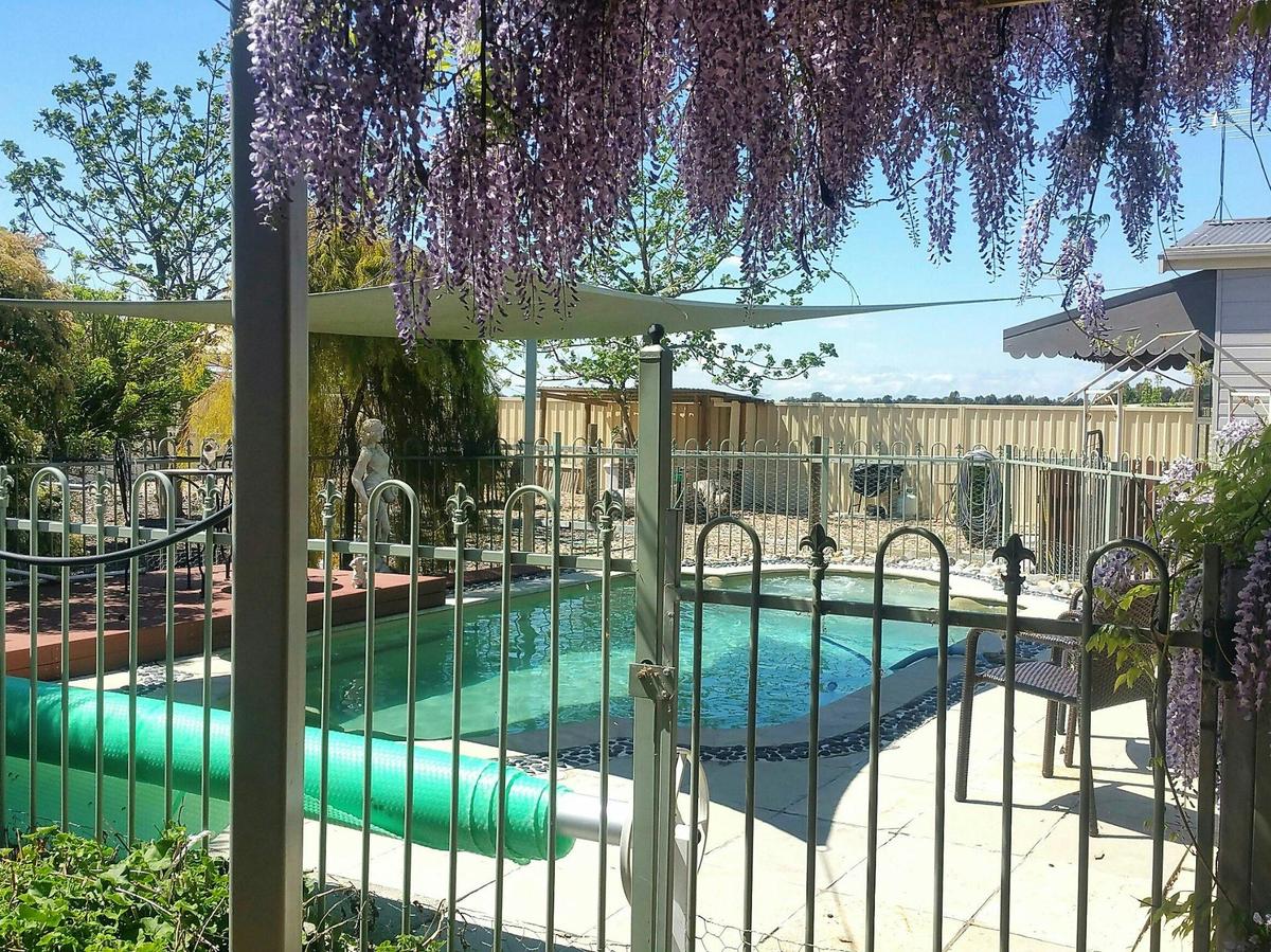 Must Love Dogs Pool Area
