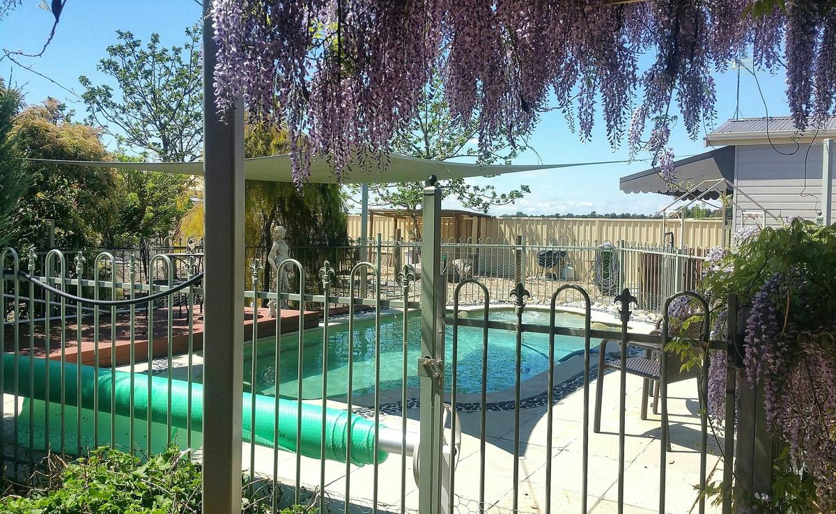 summer heated pool