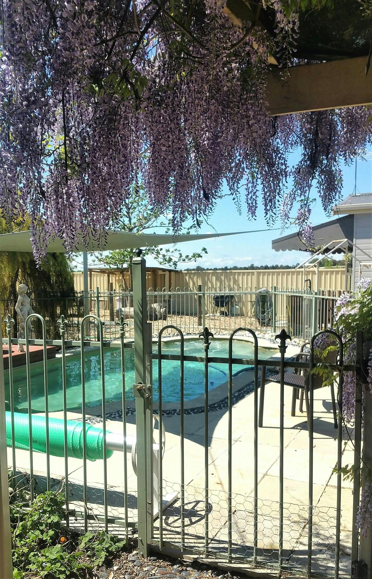heated summer pool