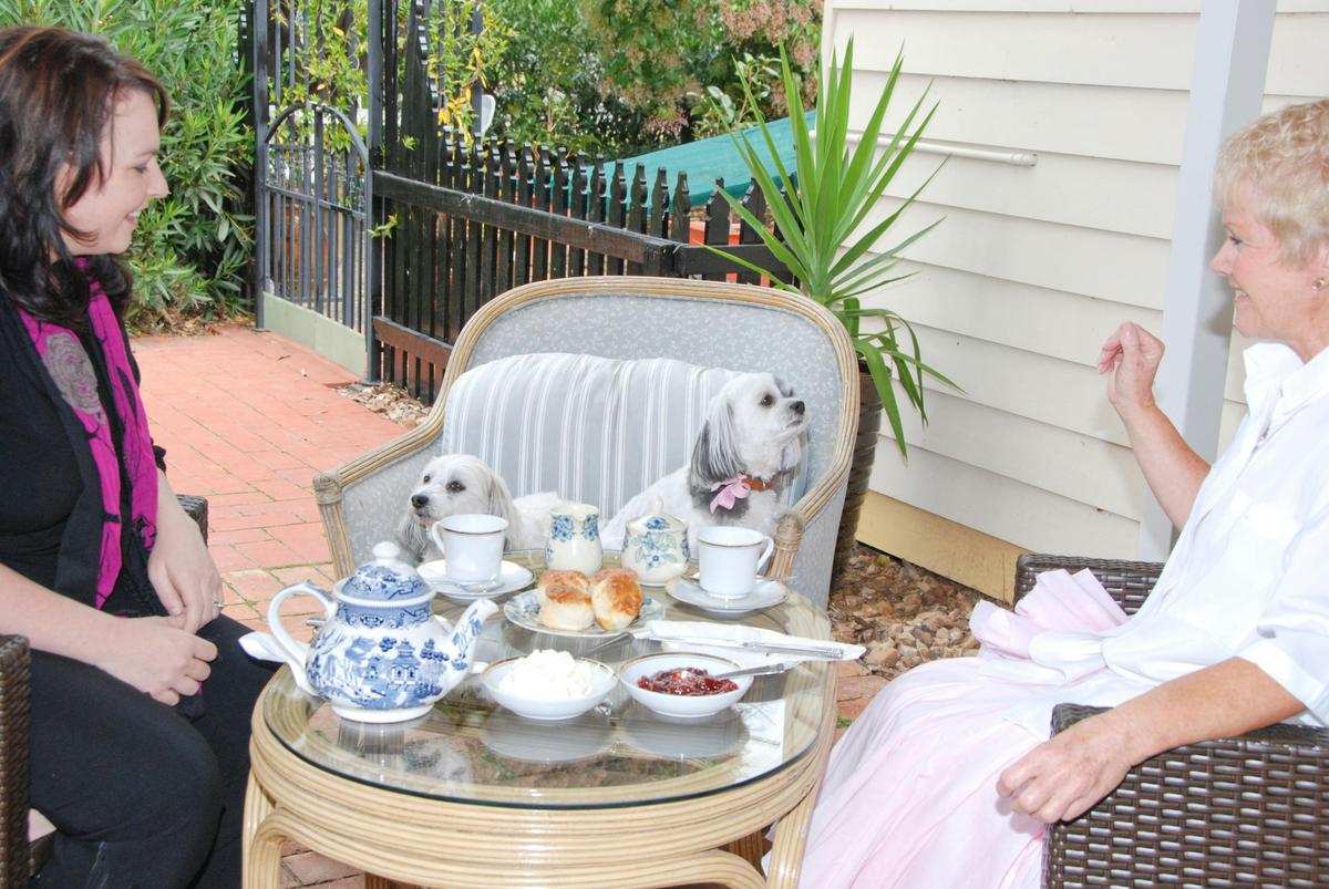 Must Love Dogs B&B Avo tea