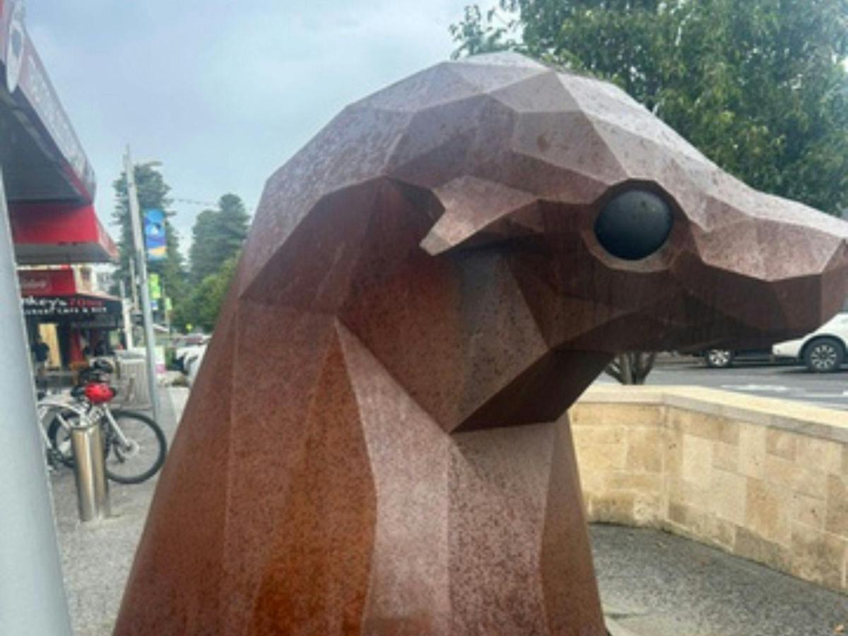 Street Art, Sculptures and Colour - Warrnambool Walking Tour