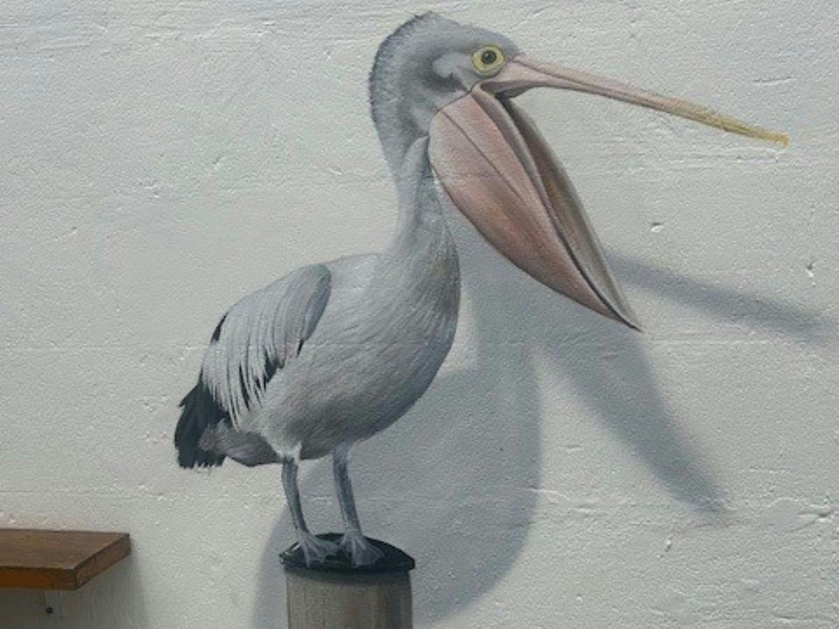 Brushstrokes, Books and Bluestone in Port Fairy - Art Walking Tour