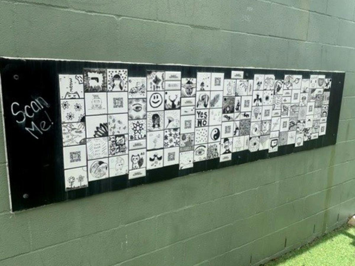 Street Art, Sculptures and Colour - Warrnambool Walking Tour