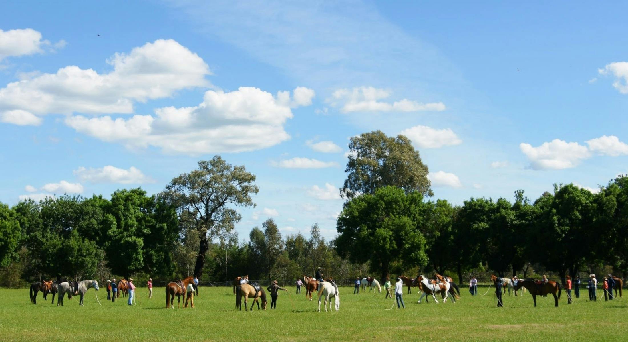 Horse show at the Oxley Rec Reserve