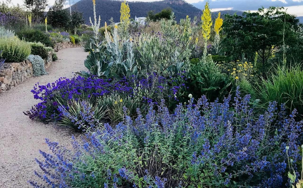 The Dry Garden at Highfield gardens full of beatiful rare and unusual plants are a must see.