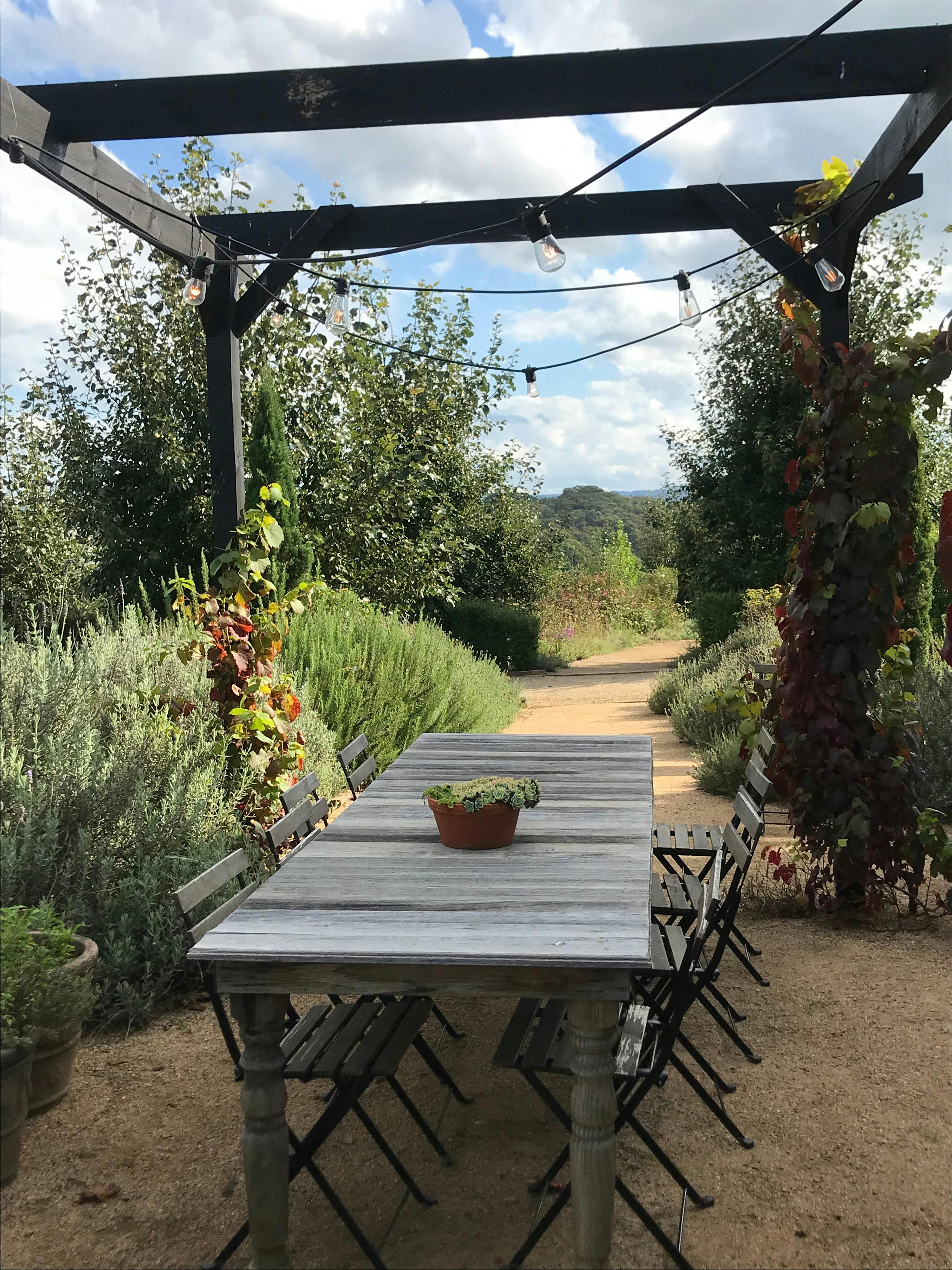 Sit and relax on our lavender terrace with views to the Blue mountains with a picnic lunch.