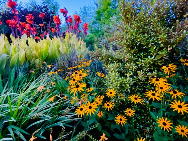 Highfield Gardens