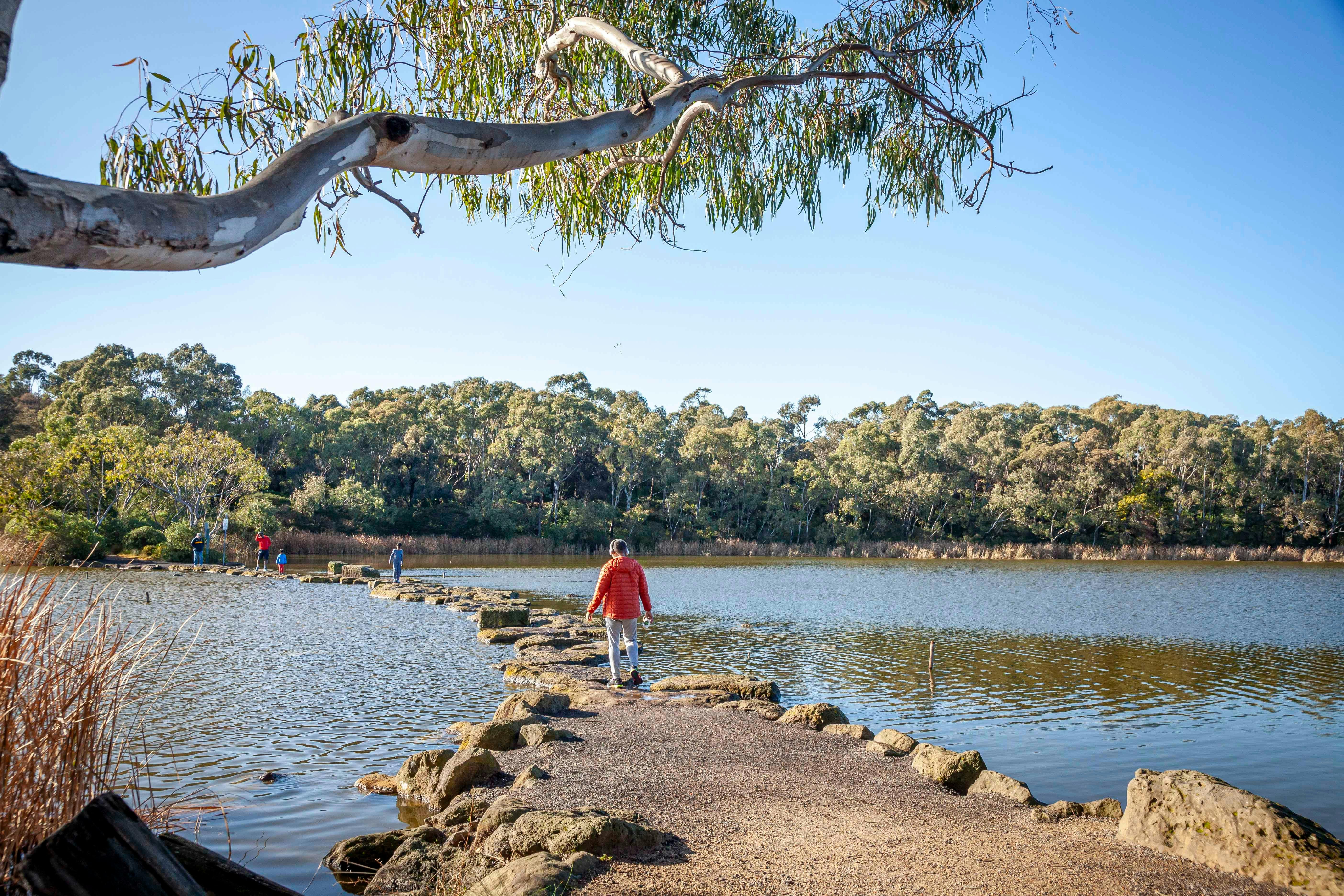 Stepping stones across Newport Lakes