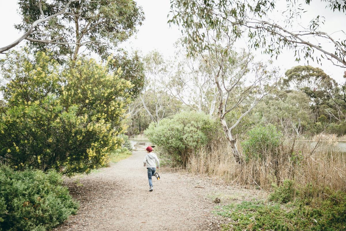 Newport Lakes