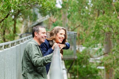 Otway Fly Treetop Adventures