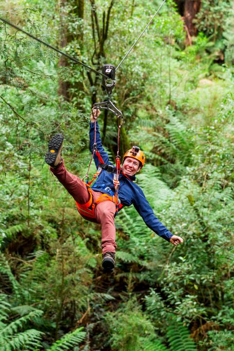Otway Fly Treetop Adventures