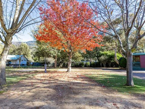 Powered Site Grass | Exterior
