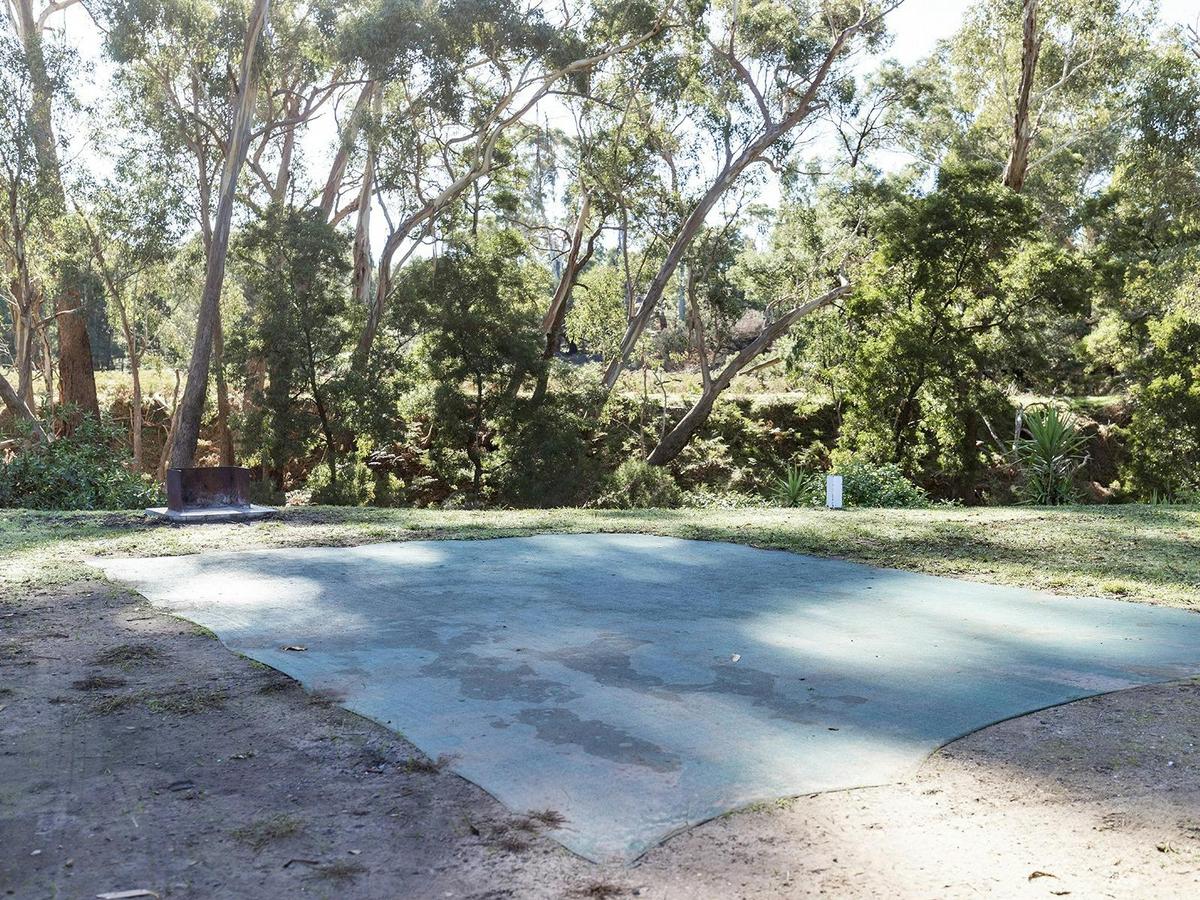 Unpowered Site grass | Exterior