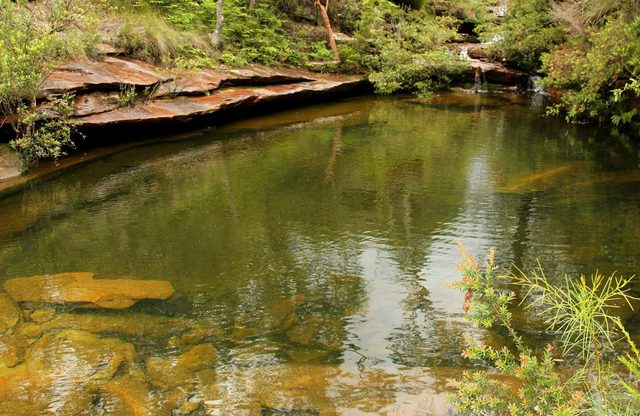 Hominy Creek Walking Track