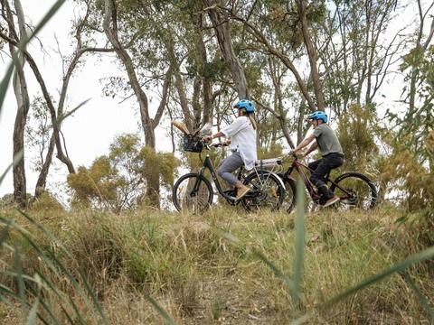 Murchison Rail Trail - Waranga Rail Trail