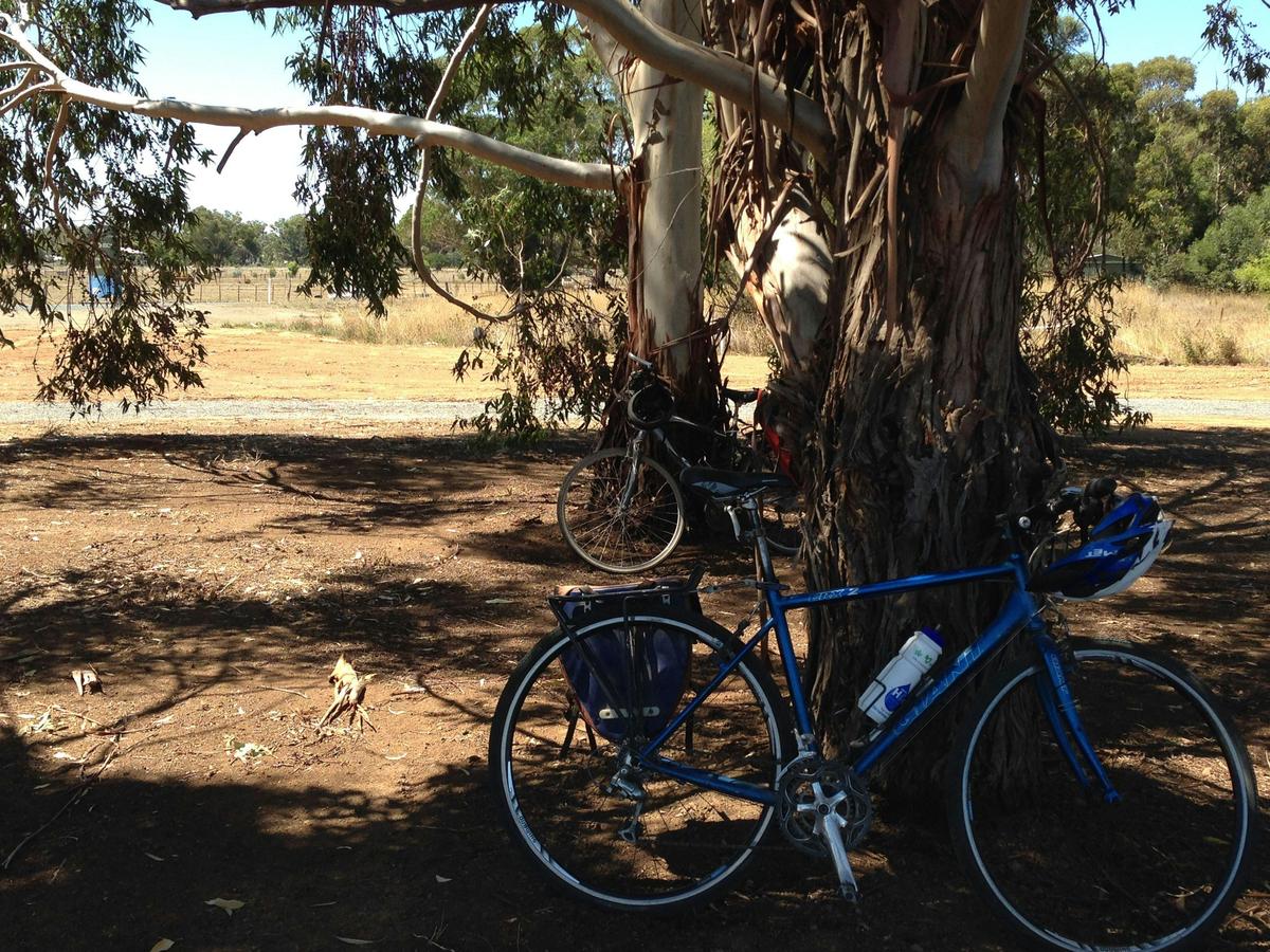 Murchison Rail Trail - Waranga Rail Trail