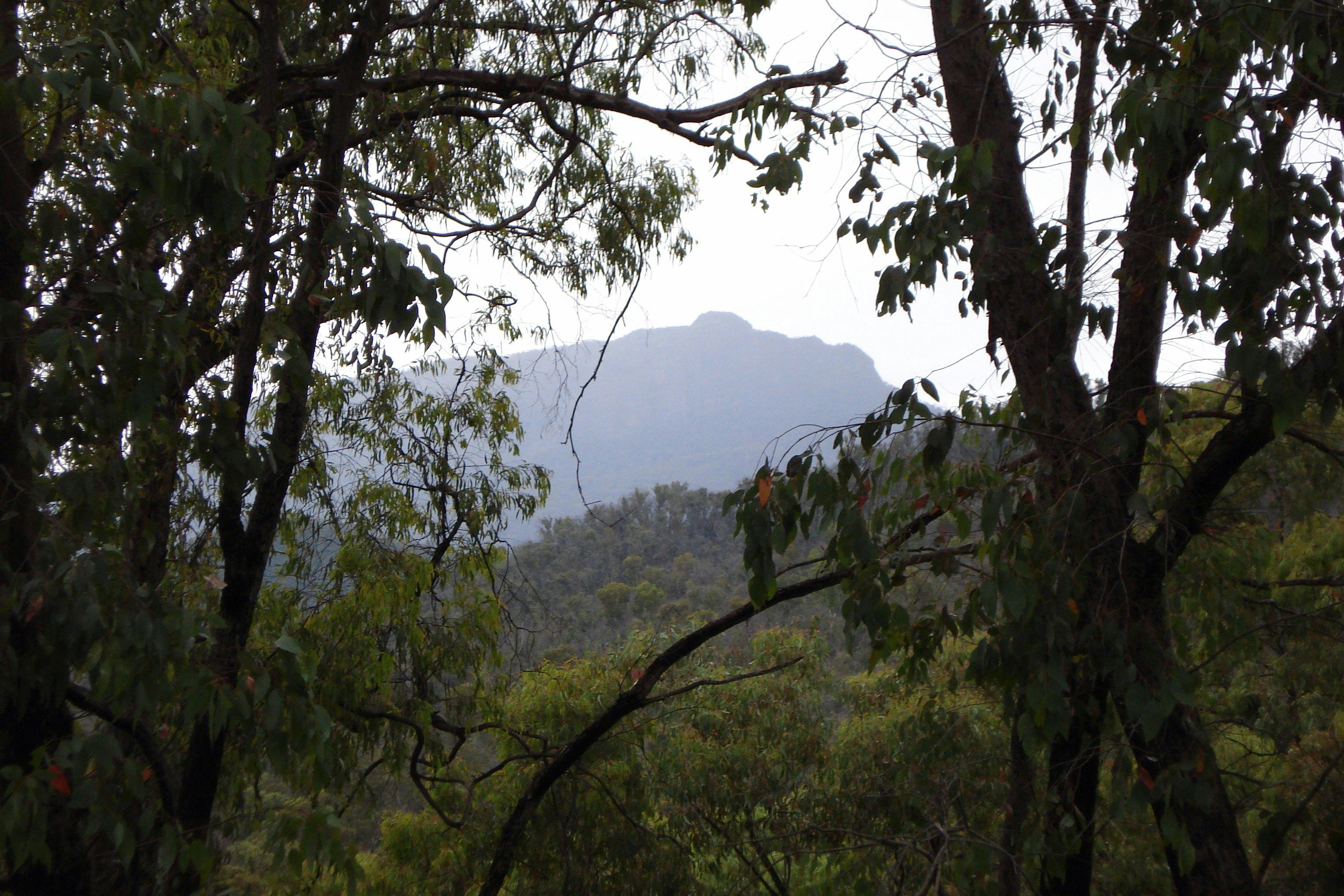 Pineapple Flat Camping Area