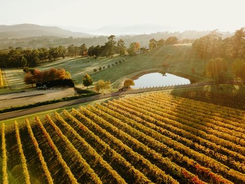 Payne's Rise Winery