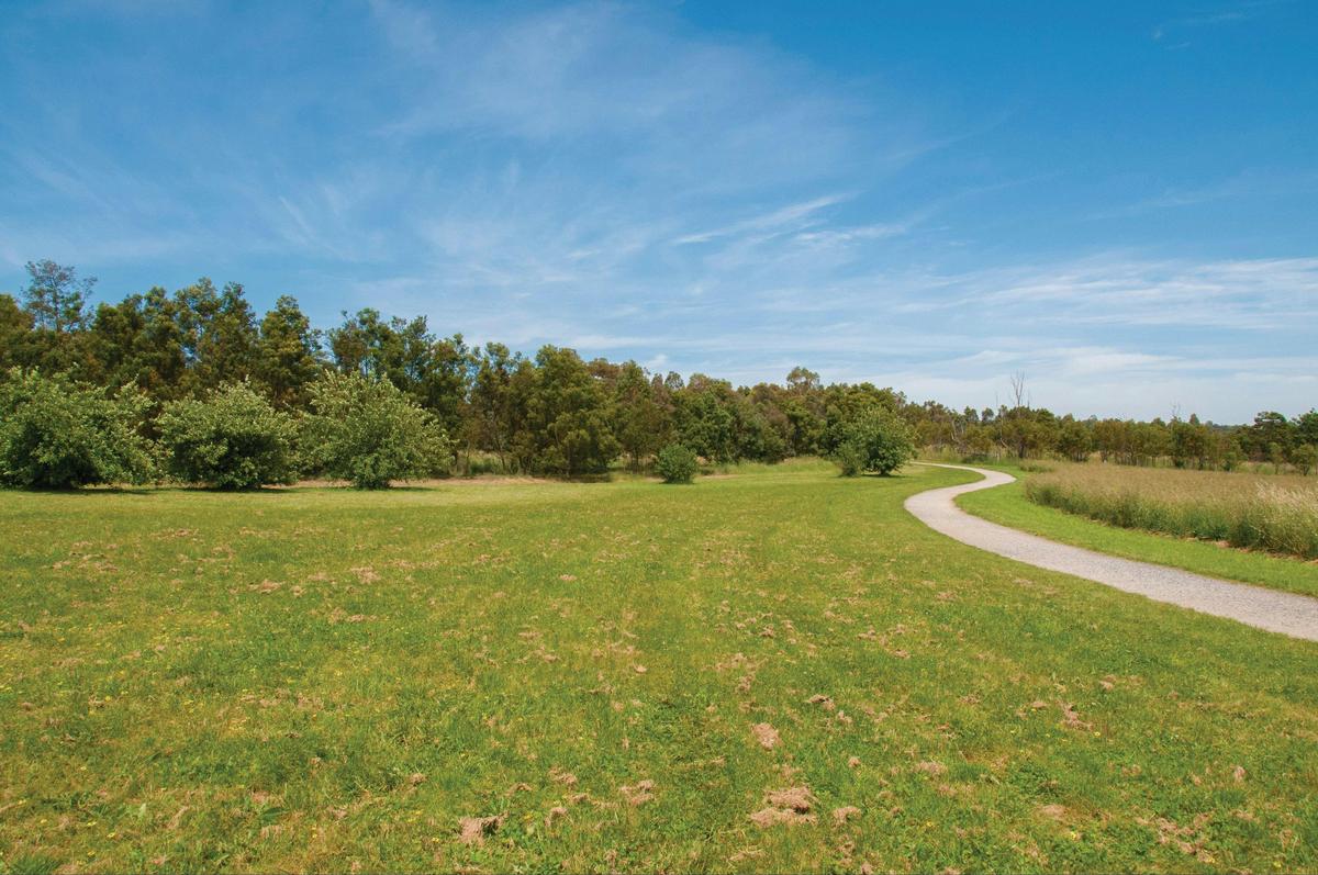 Nortons Park