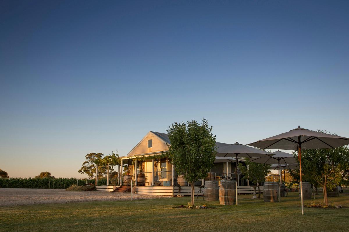 Norton Estate Cellar Door