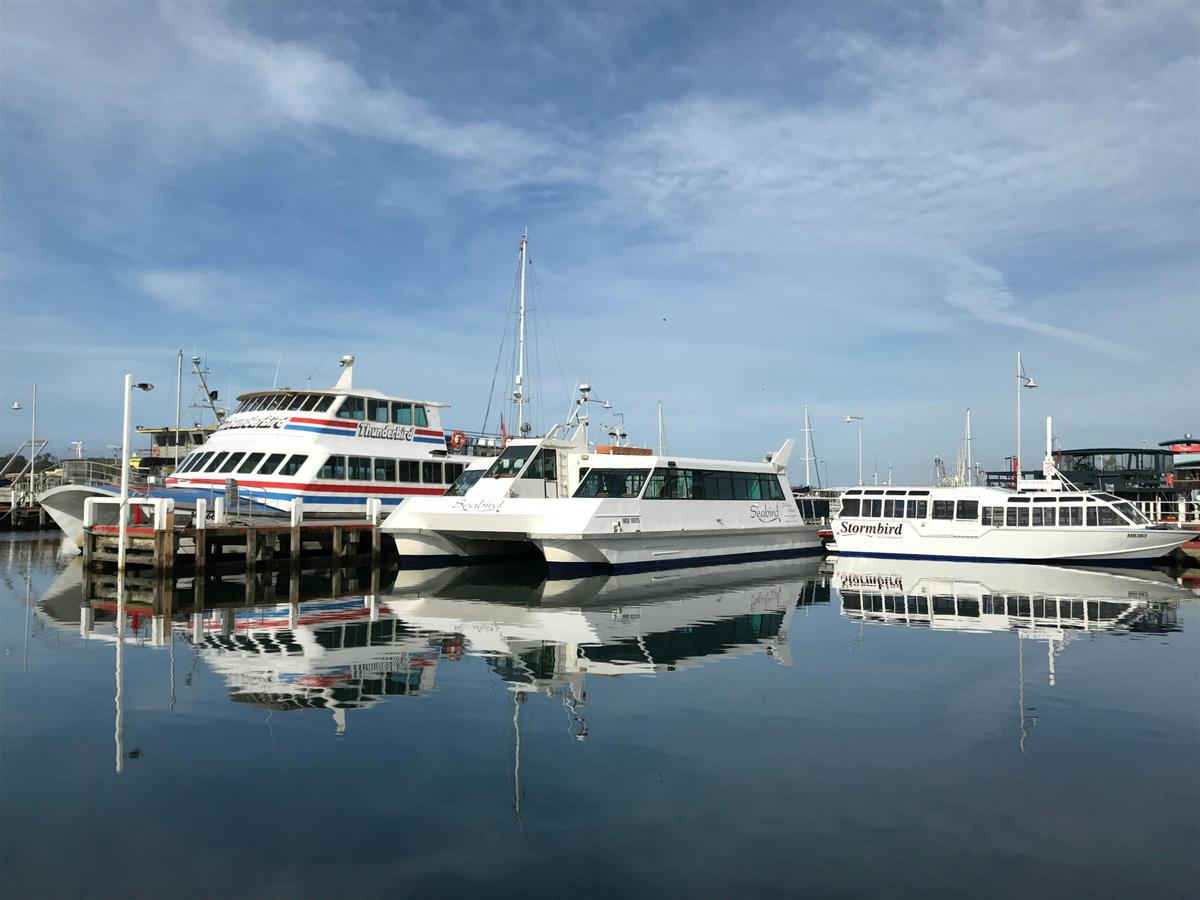 Peels Cruises