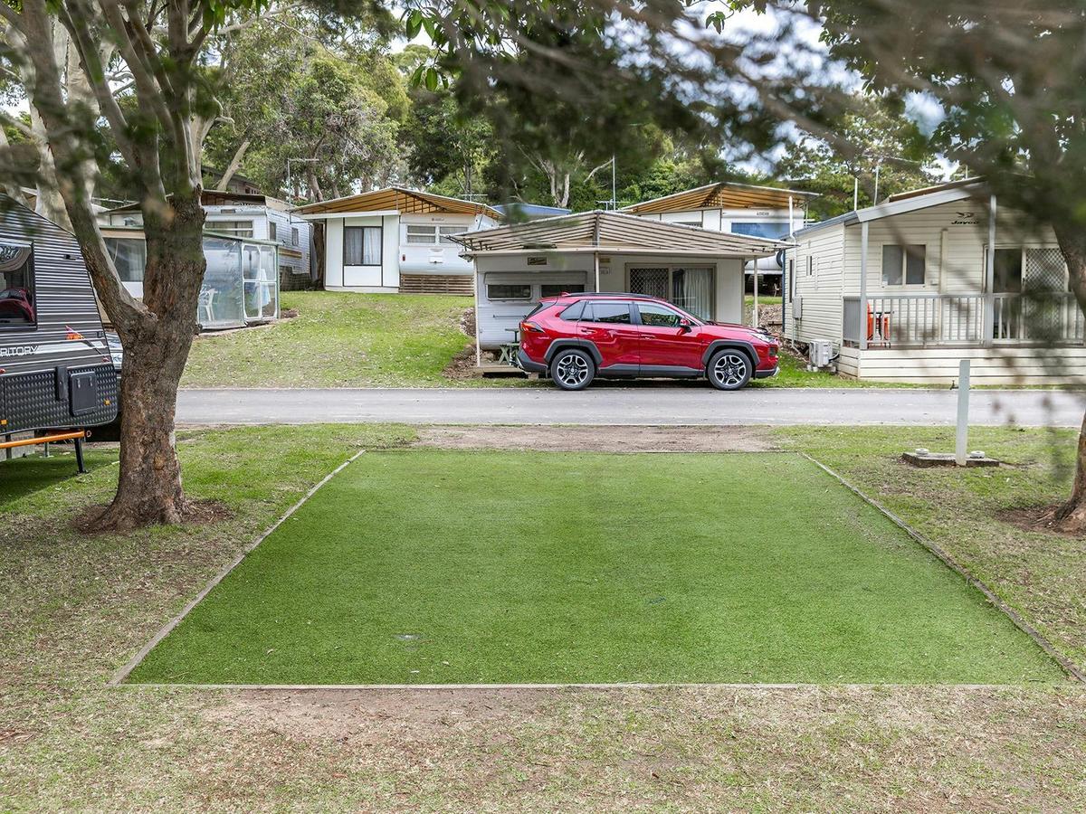 Premium powered site | Direct View