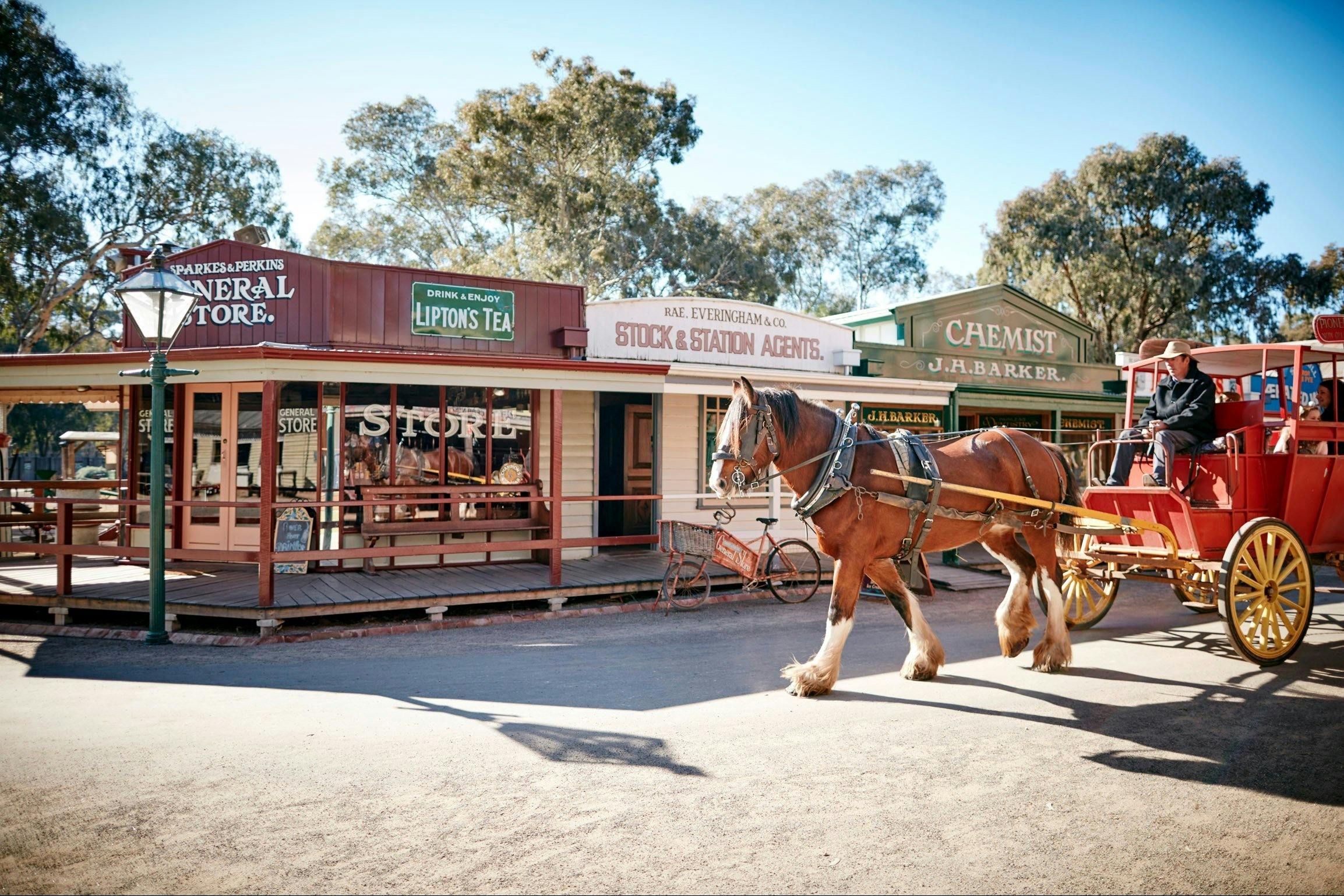 Touring the site with a free horse and carriage ride