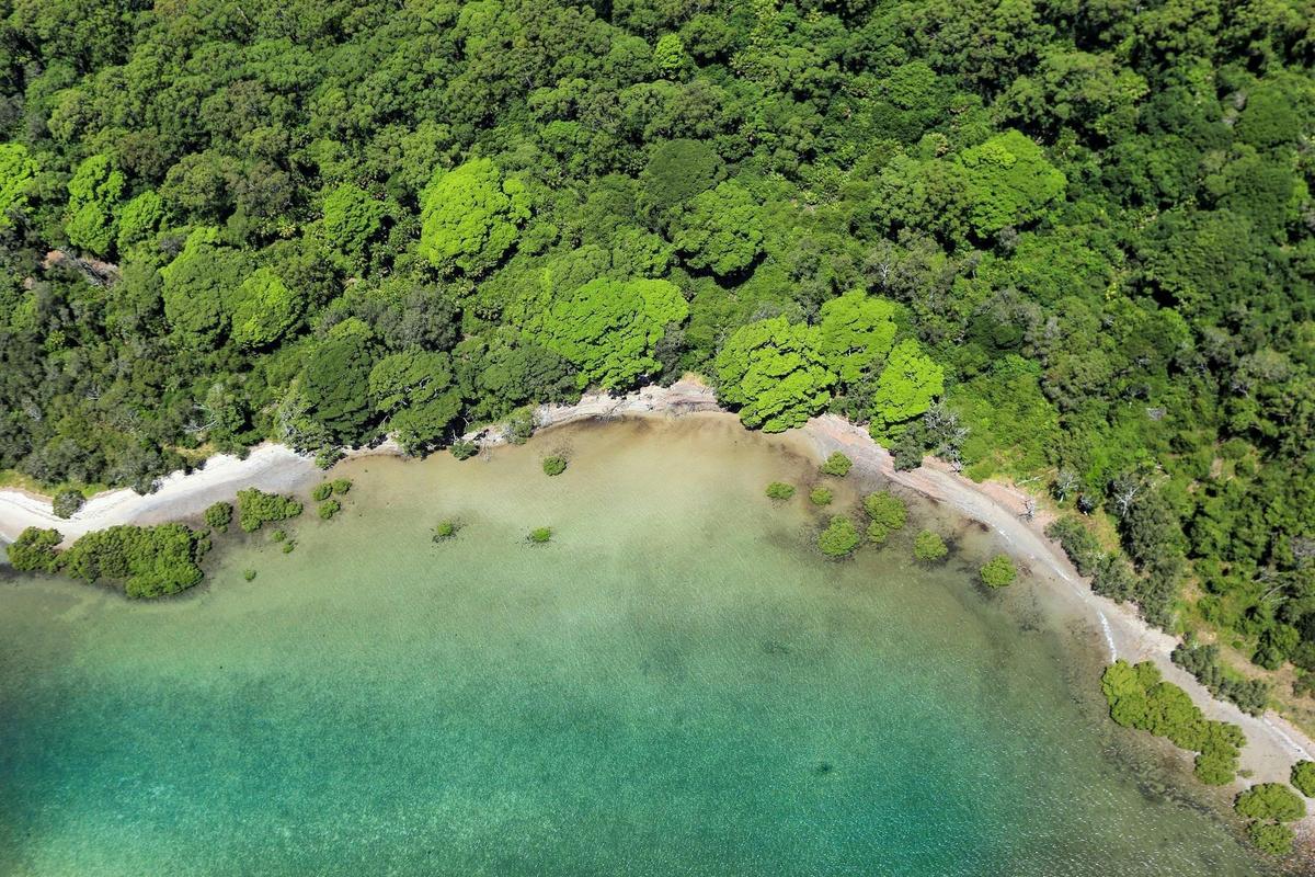 Hare Bay