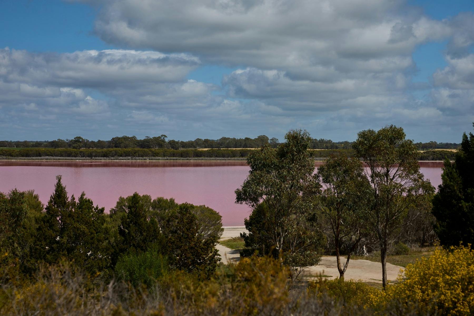 Pink Lake
