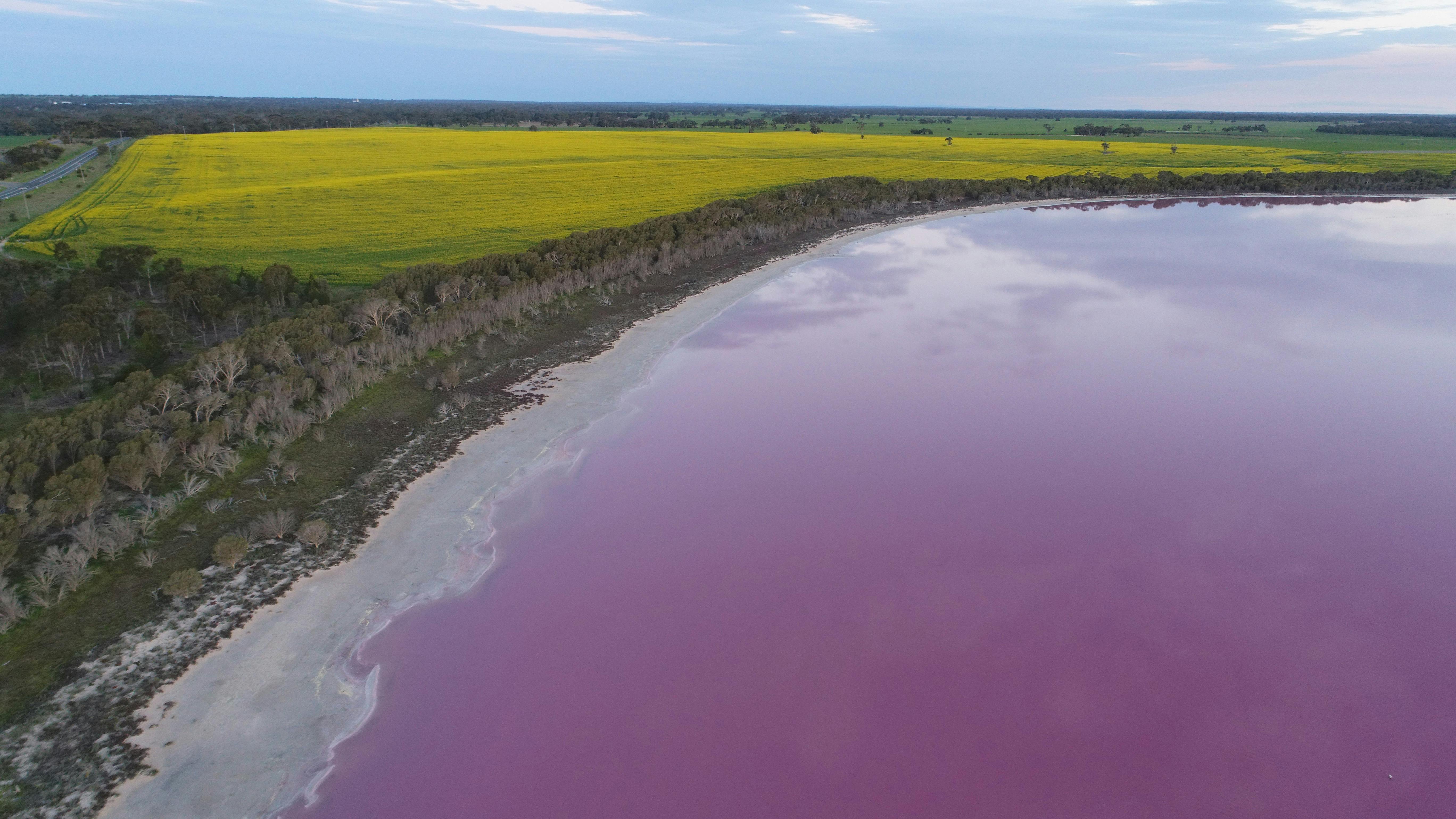Pink Lake, Dimboola